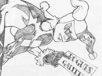 Portfolio Image