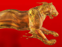 Portfolio Image