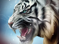 Portfolio Image
